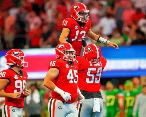 Georgia Bulldogs Football Paint By Number