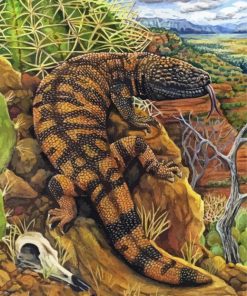 Gila Monster In Desert Paint By Number