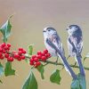 Long Tailed Tit Birds On A Branch Paint By Number