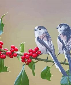 Long Tailed Tit Birds On A Branch Paint By Number