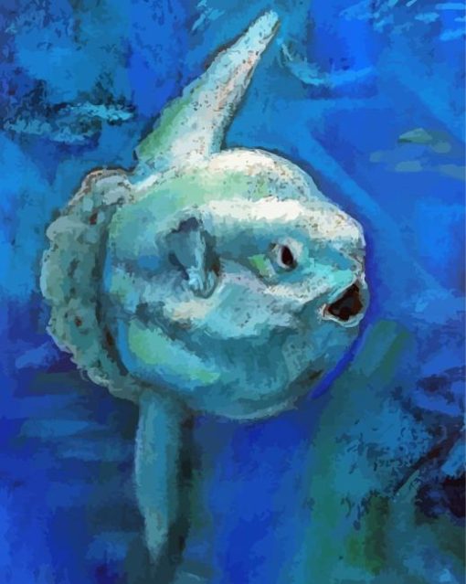 Mola Fish Paint By Number