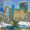 New York Central park in winter paint by numbers