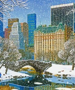 New York Central park in winter paint by numbers