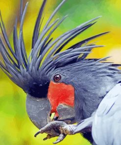 Palm Cockatoo Head Paint By Number