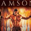 Samson Movie Poster Paint By Number