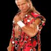 Shawn Michaels Wretsler Paint By Number