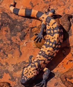 The Gila Monster Paint By Number