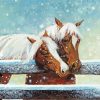 Two Horses At Winter Fence paint by number