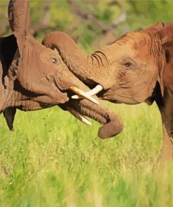 Two Adorable Elephants Snuggling Paint By Number