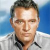 Welsh Actor Richard Burton Paint By Number