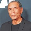 Wes Studi Paint By Number