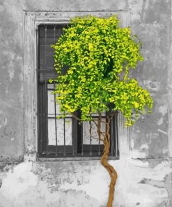 Window Tree Paint By Number