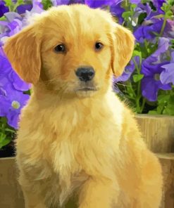 Aesthetic Golden Puppy Dog Paint By Number