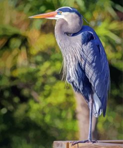 Aesthetic Grey Heron Paint By Number