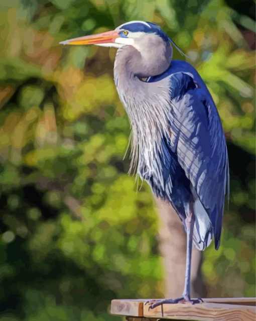 Aesthetic Grey Heron Paint By Number