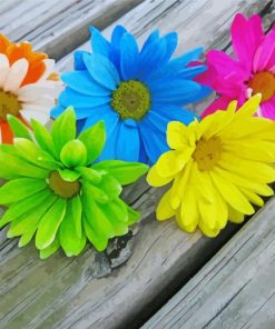 Beautiful Colorful Daisy Paint By Number