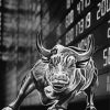 Black And White Wall Street Bull Art Paint By Number