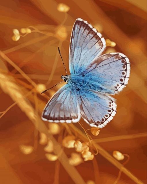 Blue And White Butterfly Paint By Number