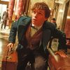 Cool Newt Scamander Paint By Number