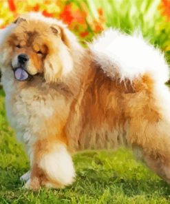 Cute Chow Chow Paint By Number