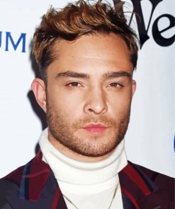 Ed Westwick Art Paint By Number