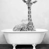 Giraffe Bathing Paint By Number