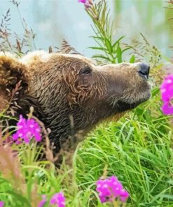 Grizzly Bear In flowers Field Paint By Number