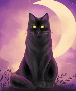 moon cat paint by numbers