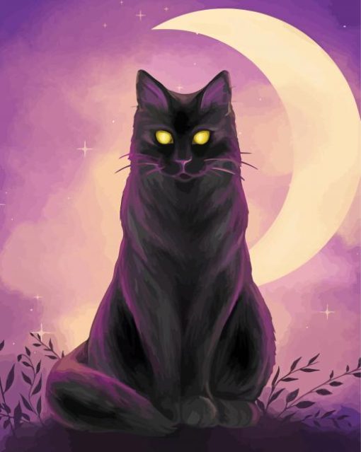 moon cat paint by numbers