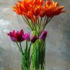 Orange And Purple Tulips In Glass Vases Paint By Number