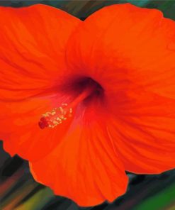 Orange Hibiscus Flower Art Paint By Number