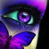 Purple Eye And Butterfly Paint By Number