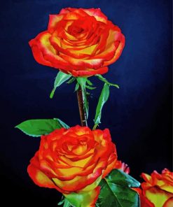 Red And Yellow Roses Paint By Number