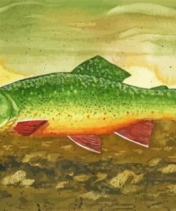 Brook Trout Paint By Number