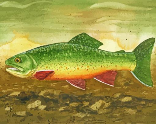 Brook Trout Paint By Number