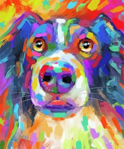 Colorful Border Collie Paint By Number