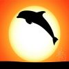 Dolphin At Sunset Silhouette Paint By Number