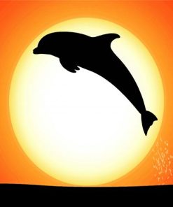 Dolphin At Sunset Silhouette Paint By Number