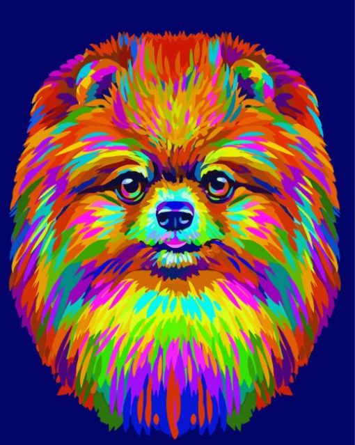 Adorable Colorful Pomeranian Paint By Number