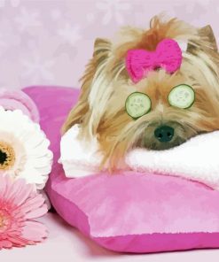 Aesthetic Dog Spa Paint By Number