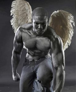 Black And White Male Angel Paint By Number