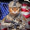 Cat Soldier Paint By Number