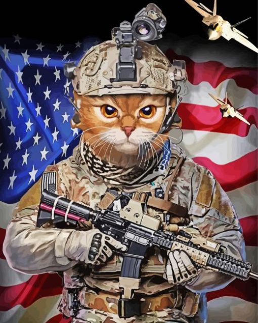 Cat Soldier Paint By Number