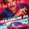 Vintage Magnum P I Paint By Numbersz